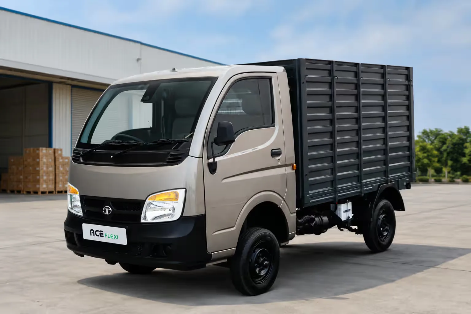 Tata Ace Flex Fuel